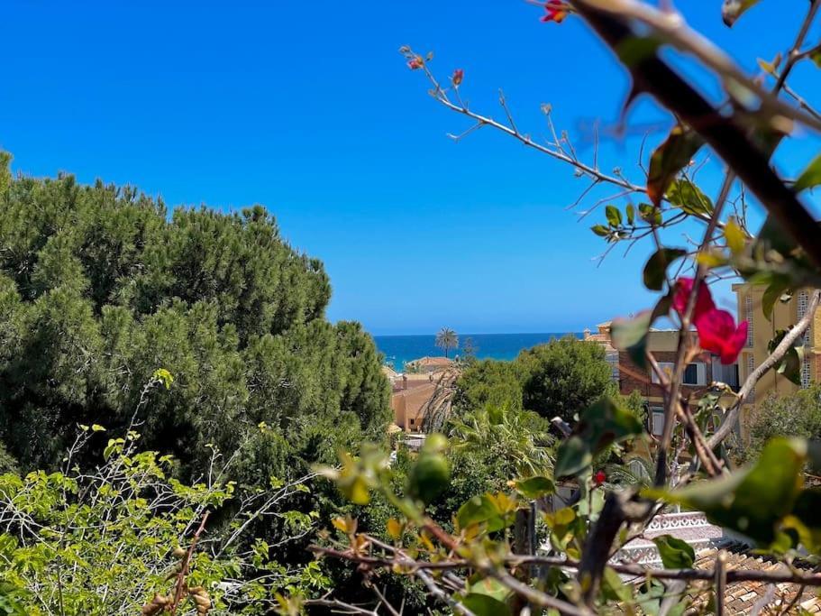 La Heredad - En La Zenia * Orihuela